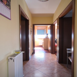 Appartamento in affitto a Solesino